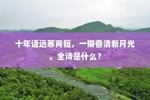 十年话远寒宵短，一瓣香清新月光。全诗是什么？