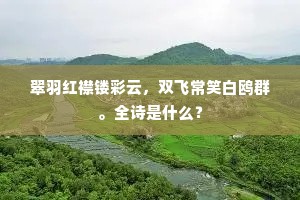 翠羽红襟镂彩云，双飞常笑白鸥群。全诗是什么？
