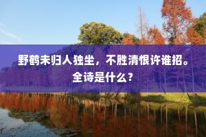 野鹤未归人独坐，不胜清恨许谁招。全诗是什么？