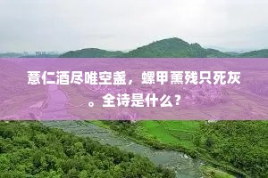 薏仁酒尽唯空盏，螺甲薰残只死灰。全诗是什么？