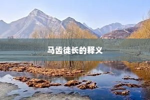 马齿徒长的释义