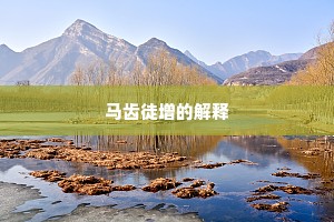 马齿徒增的解释