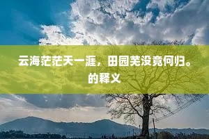 云海茫茫天一涯，田园芜没竟何归。的释义
