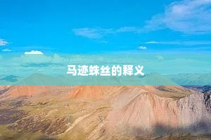 马迹蛛丝的释义