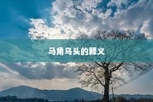 马角乌头的释义