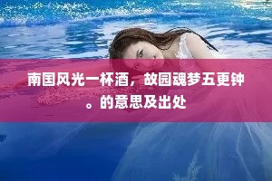 南国风光一杯酒，故园魂梦五更钟。的意思及出处
