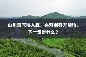 山川景气得人胜，喜对羽客开清樽。下一句是什么？