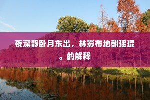 夜深静卧月东出，林影布地翻瑶琨。的解释