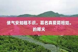 使气安知程不识，慕名真爱蔺相如。的释义