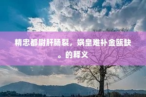 精忠都尉肝肠裂，娲皇难补金瓯缺。的释义