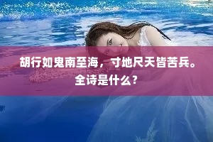 胡行如鬼南至海,寸地尺天皆苦兵。全诗是什么? 胡行如鬼南至海,寸地尺天皆苦兵。全诗是什么?