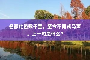 名都壮邑数千里，至今不闻戎马声。上一句是什么？