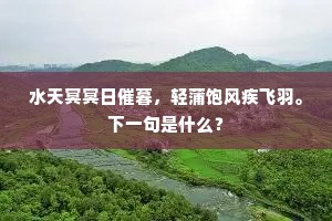 水天冥冥日催暮,轻蒲饱风疾飞羽。下一句是什么? 水天冥冥日催暮,轻蒲饱风疾飞羽。下一句是什么?