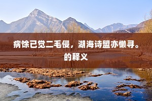 病馀已觉二毛侵，湖海诗盟亦懒寻。的释义