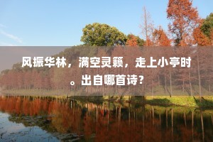 风振华林，满空灵籁，走上小亭时。出自哪首诗？