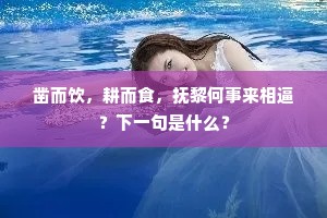 凿而饮,耕而食,抚黎何事来相逼?下一句是什么? 凿而饮,耕而食,抚黎何事来相逼?下一句是什么?