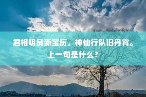 君相明良新宝历，神仙行队旧丹霄。上一句是什么？
