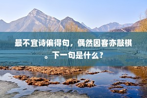 最不宜诗偏得句，偶然因客亦敲棋。下一句是什么？