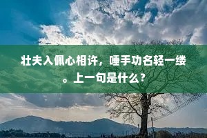壮夫入佩心相许，唾手功名轻一缕。上一句是什么？