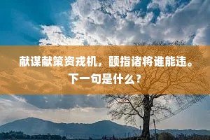 献谋献策资戎机，颐指诸将谁能违。下一句是什么？