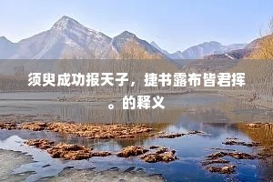 须臾成功报天子，捷书露布皆君挥。的释义