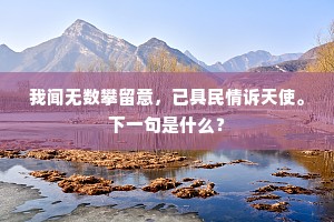 我闻无数攀留意，已具民情诉天使。下一句是什么？