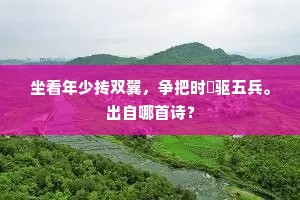 坐看年少抟双翼，争把时铦驱五兵。出自哪首诗？