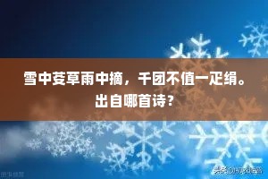 雪中芟草雨中摘，千团不值一疋绢。出自哪首诗？