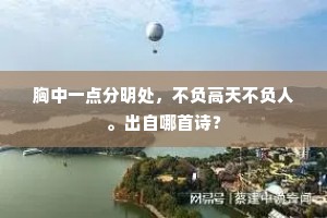 胸中一点分明处，不负高天不负人。出自哪首诗？