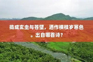 捣成玄圭与苍璧，洒作横枝岁寒色。出自哪首诗？