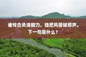 谁怜合负清朝力，独把风骚破郑声。下一句是什么？