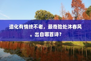 造化有情终不老，最奇险处沐春风。出自哪首诗？