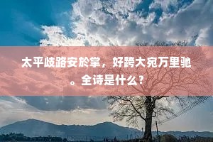 太平歧路安於掌，好跨大宛万里驰。全诗是什么？