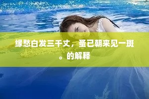 缘愁白发三千丈，蚤已朝来见一斑。的解释