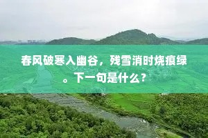 春风破寒入幽谷,残雪消时烧痕绿。下一句是什么? 春风破寒入幽谷,残雪消时烧痕绿。下一句是什么?