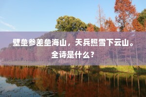 壁垒参差垒海山，天兵照雪下云山。全诗是什么？