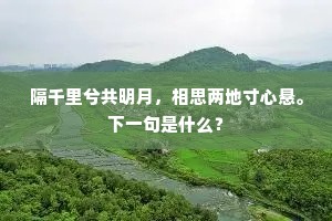 隔千里兮共明月，相思两地寸心悬。下一句是什么？