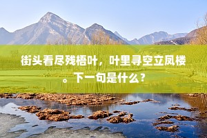 街头看尽残梧叶，叶里寻空立凤楼。下一句是什么？