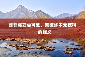 西邻寡妇更可念，譬彼坏木无枝柯。的释义