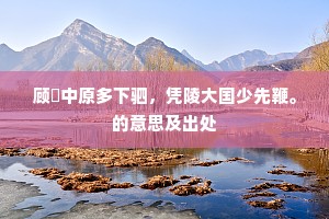 顾盻中原多下驷，凭陵大国少先鞭。的意思及出处
