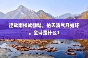 径欲南楼试鹤氅，拍天清气月如环。全诗是什么？