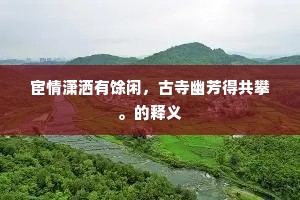 宦情潇洒有馀闲，古寺幽芳得共攀。的释义