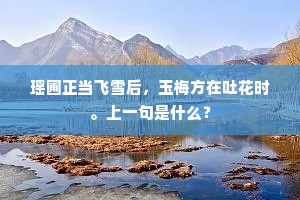 瑶圃正当飞雪后，玉梅方在吐花时。上一句是什么？