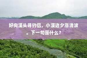 好向溪头寻钓侣，小溪边夕涨清波。下一句是什么？