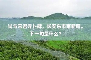 试与宋君寻卜肆，长安东市雨新晴。下一句是什么？