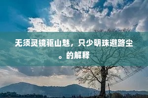 无须灵镜驱山魅，只少明珠避路尘。的解释
