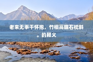老来无事干怀抱，竹榻高眠石枕斜。的释义