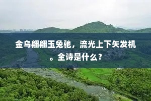金乌翩翩玉兔驰，流光上下矢发机。全诗是什么？