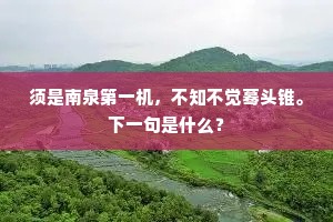 须是南泉第一机，不知不觉蓦头锥。下一句是什么？