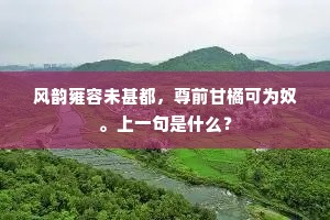 风韵雍容未甚都，尊前甘橘可为奴。上一句是什么？